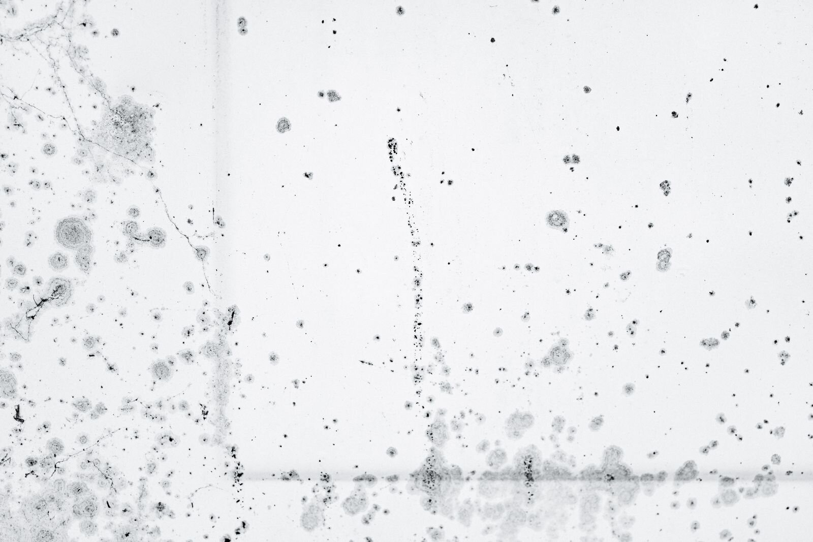 Taches noires de moisissures sur un mur blanc