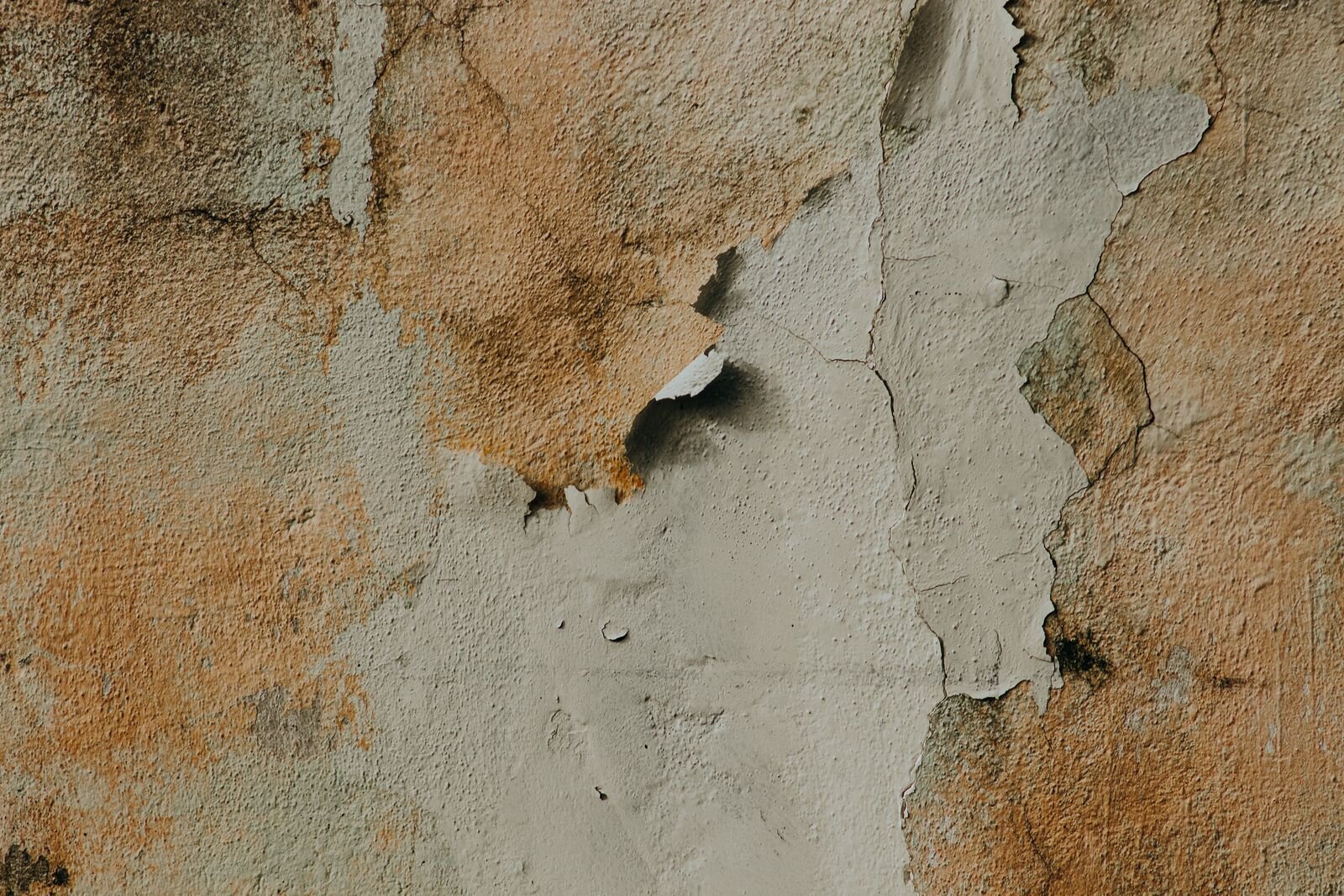 Revêtement de mur qui se soulève et se décolle