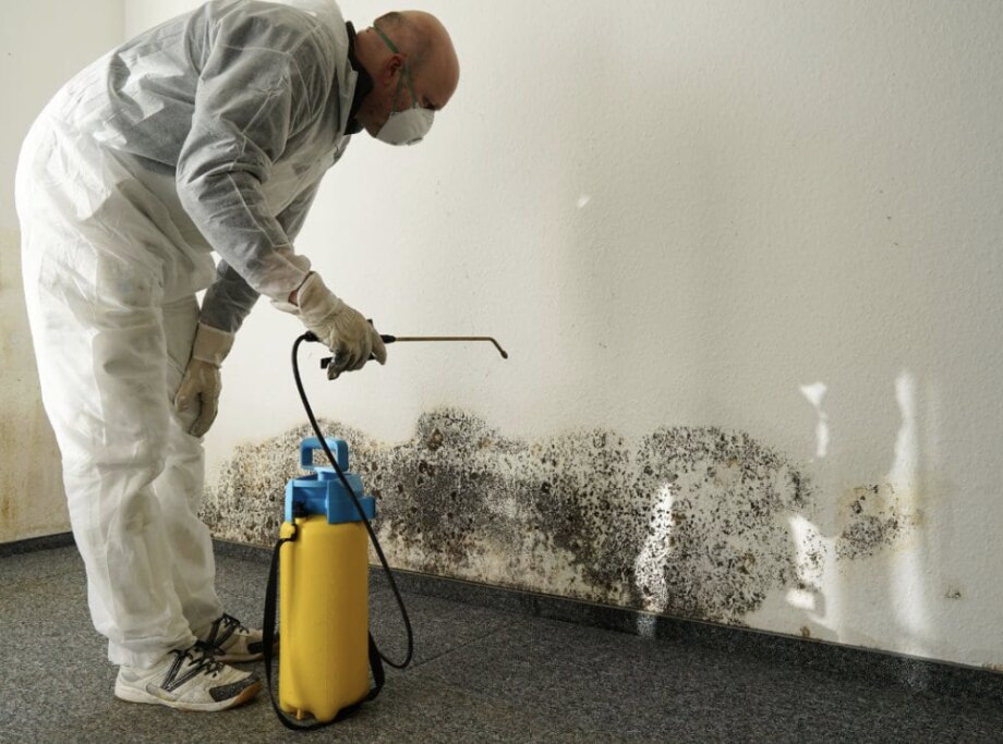 Un technicien en combinaison traite une moisissure noire au bas d'un mur